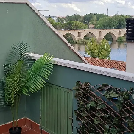 Pepinos * Zamora